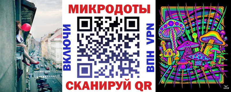 Псилоцибиновые грибы Psilocybine cubensis Гусев