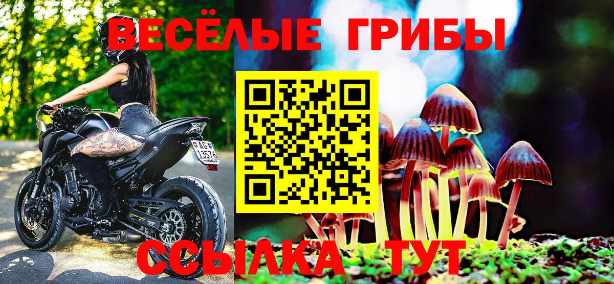 Галлюциногенные грибы мицелий  Вход с VPN  Гусев 